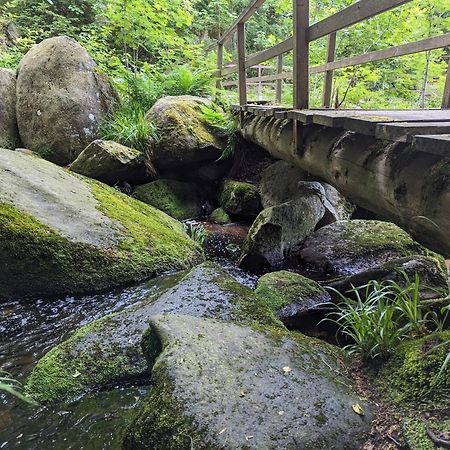 Waldgasthaus & Berghotel Steinerne Renne 韦尼格罗德 外观 照片